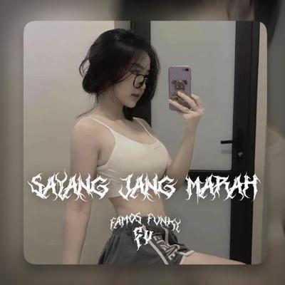 DJ SAYANG TOLONG JANG MARAH MARAH SLOW MENGKANE(ins)'s cover