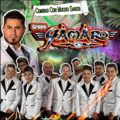 Cumbias con mucho sabor's cover