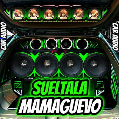 Sueltala Mamaguevo Car Audio's cover