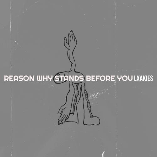 Reason Why Stands Before You's cover