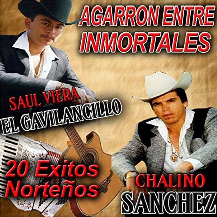 Saul Viera El Gavilanchillo's avatar image