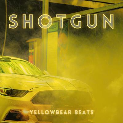 Shotgun's cover