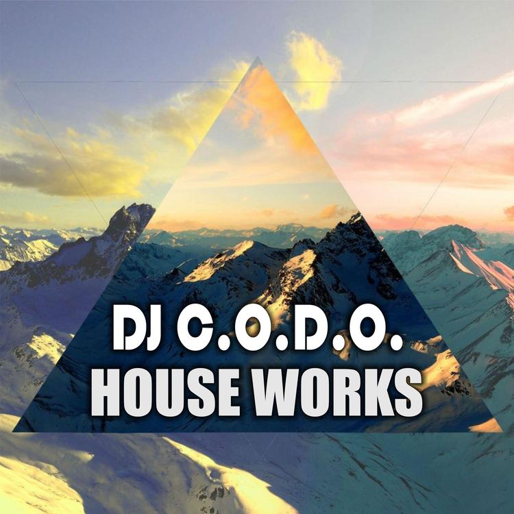 DJ C.o.d.o.'s avatar image