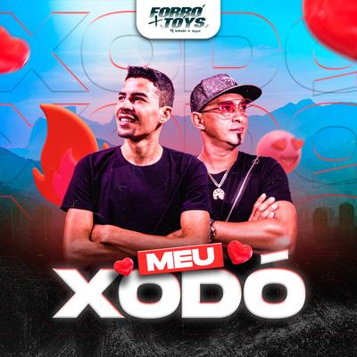 Meu Xodó By Forro + Tóys's cover
