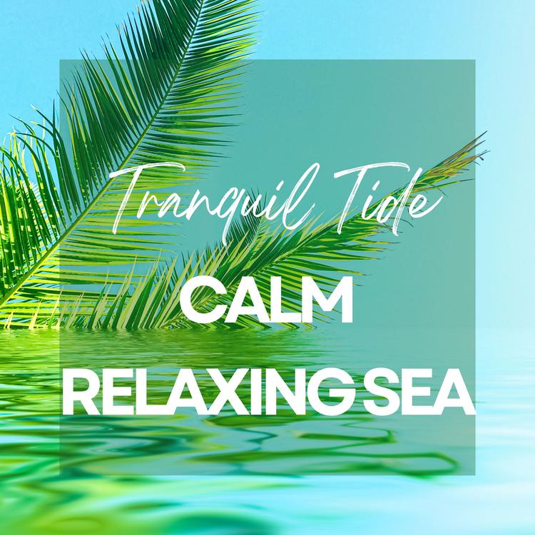 Calm Relaxing Sea's avatar image