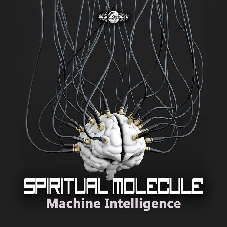 Spiritual Molecule's avatar image