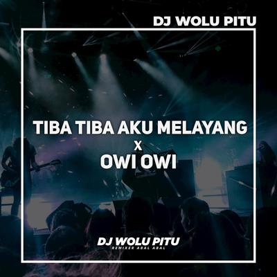 DJ Tiba Tiba Aku Melayang X Owi Owi's cover
