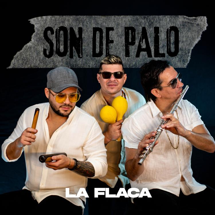 Son de palo's avatar image