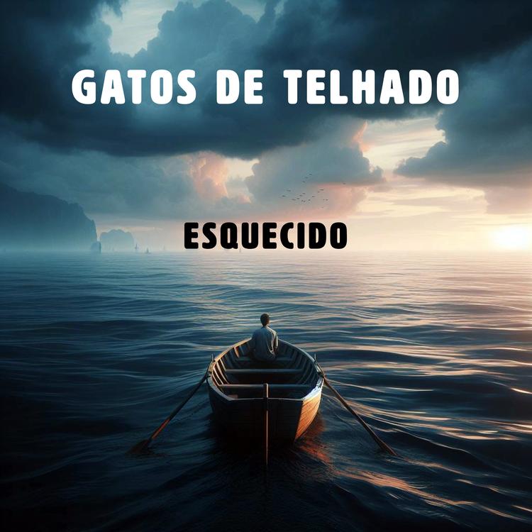 Gatos de Telhado's avatar image