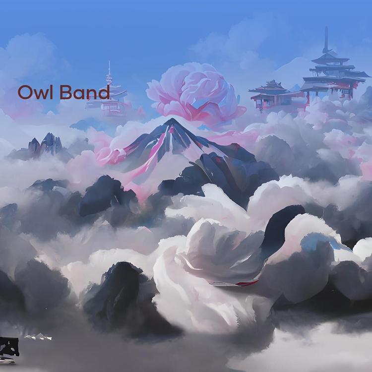 Owl Band's avatar image