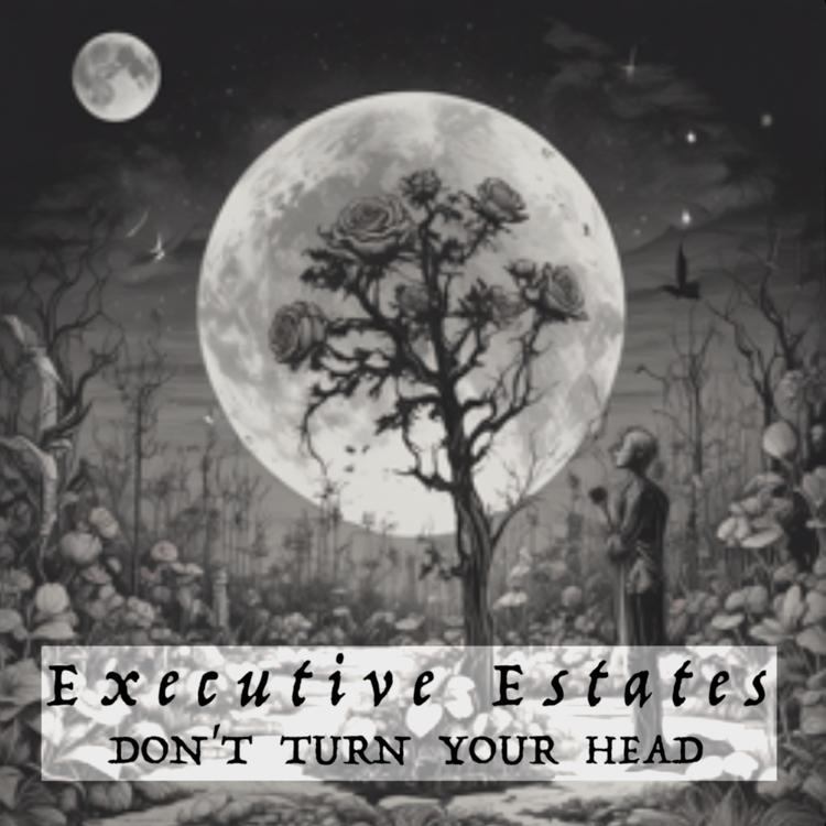 Executive Estates's avatar image