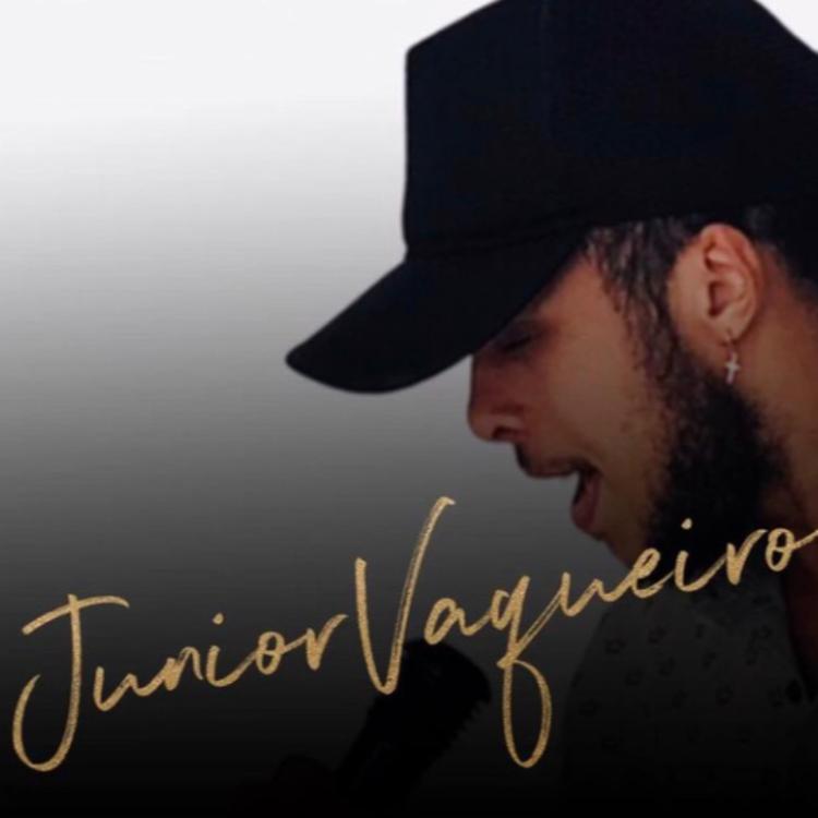Júnior vaqueiro's avatar image