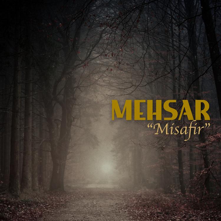 Mehsar's avatar image