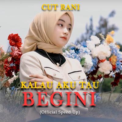 Kalau Aku Tau Begini (Official Speed Up)'s cover