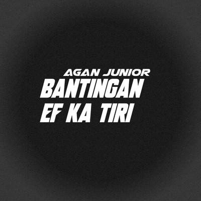 Agan Junior's cover