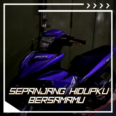 SEPANJANG HIDUPKU BERSAMAMU di (Remix Instrumental)'s cover