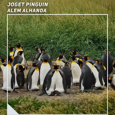 Joget Pinguin's cover