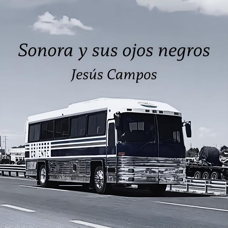 Jesus Campos's avatar image