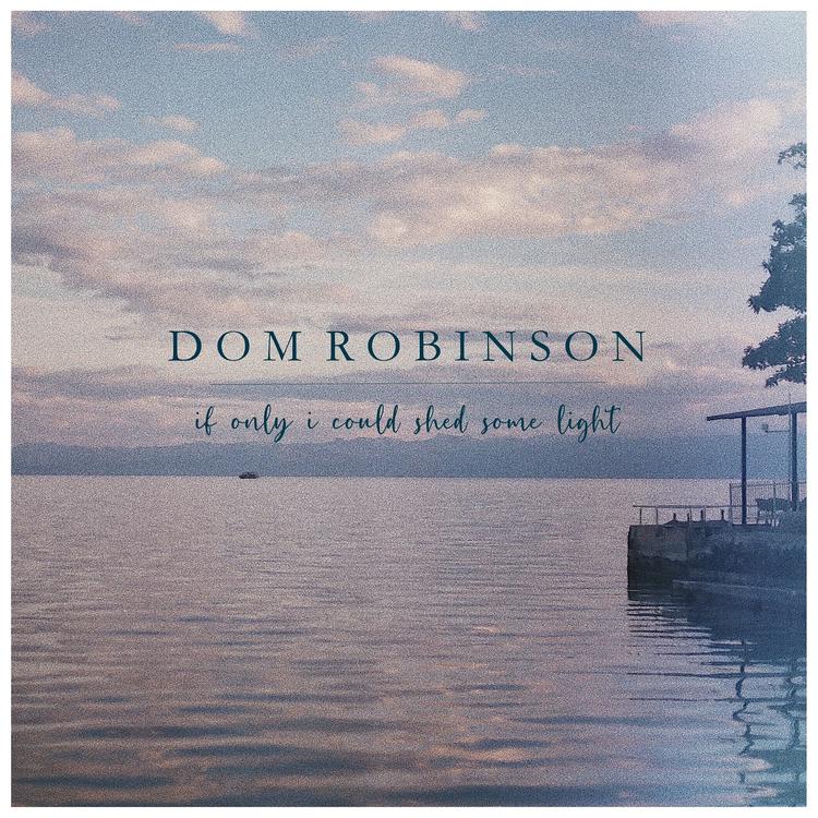 Dom Robinson's avatar image