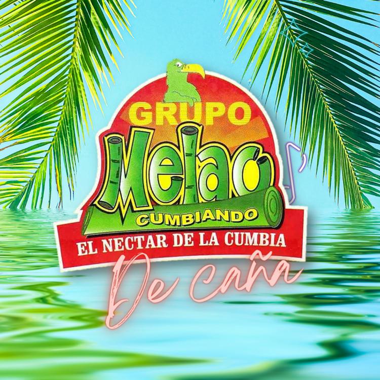 Melao De Cana's avatar image
