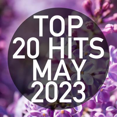 Top 20 Hits May 2023 (Instrumental)'s cover