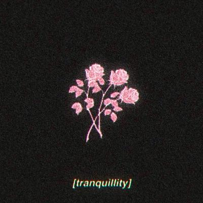 tranquillity By Prod. Riddiman's cover