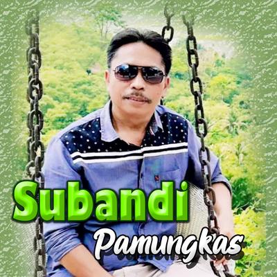 Subandi Pamungkas's cover