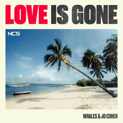 Love Is Gone By Whales, Jo Cohen's cover