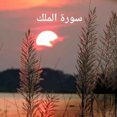 سورة الملك's cover