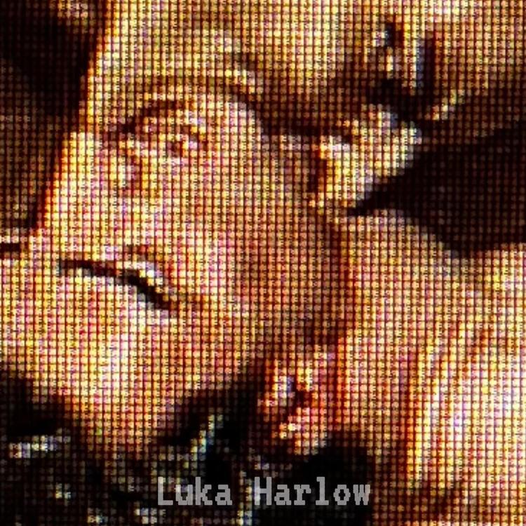 Luka Harlow's avatar image