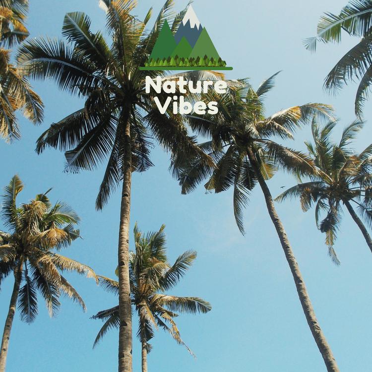 Nature Vibes's avatar image
