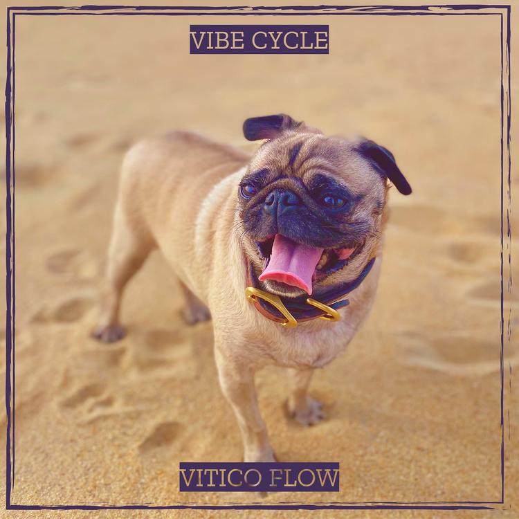 Vitico Flow's avatar image
