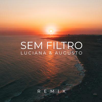 Sem Filtro (Remix)'s cover