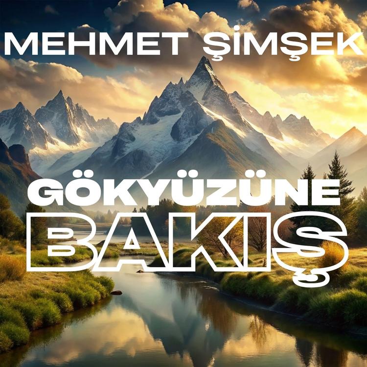 Mehmet Şimşek's avatar image