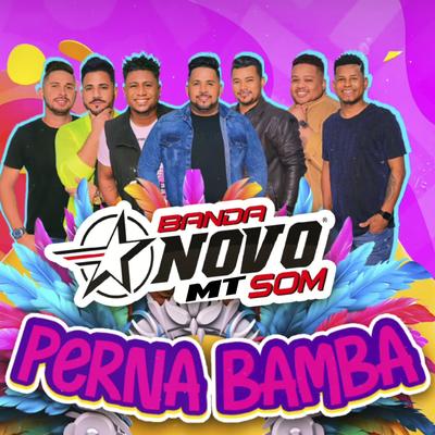 Perna Bamba By Banda Novo Som MT's cover