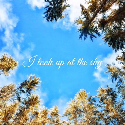 I look up at the sky's cover