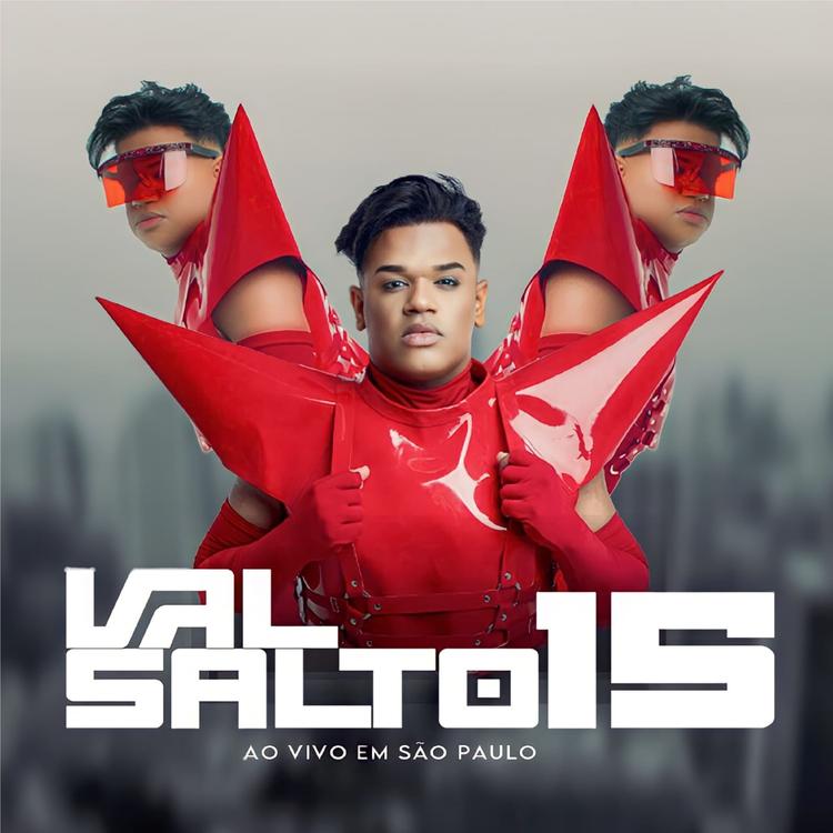 VAL SALTO 15's avatar image