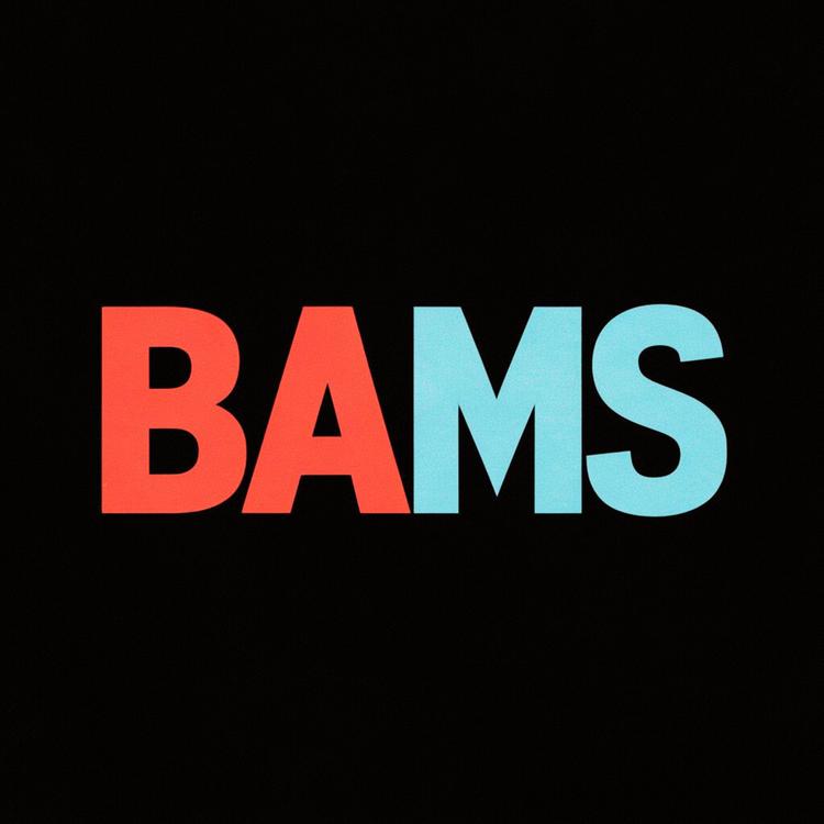 BAMS's avatar image