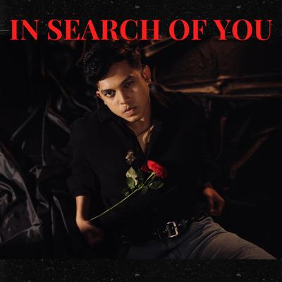 In Search of You's cover