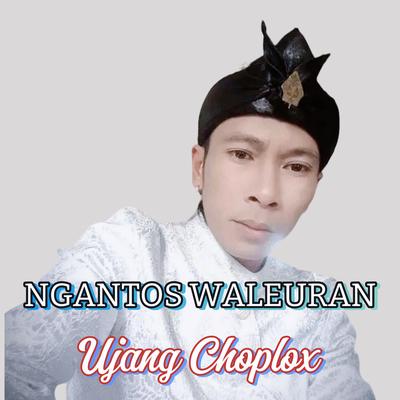 Ngantos Waleuran's cover