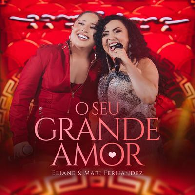 O Seu Grande Amor (Ao Vivo)'s cover