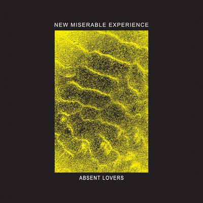 New Miserable Experience's cover