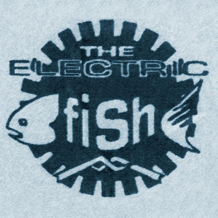 the electric fish's avatar image