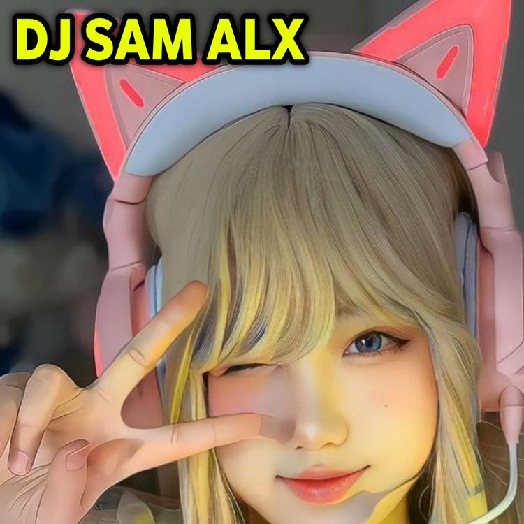 DJ SAM ALX's avatar image