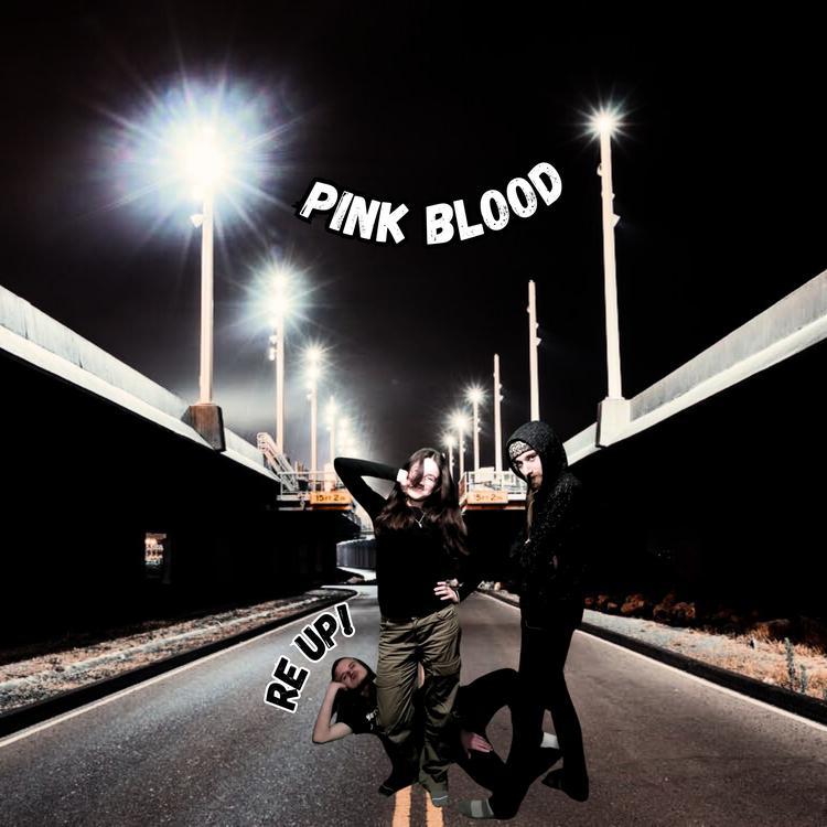 Pink Blood's avatar image