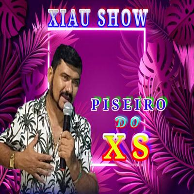 Piseiro do XS's cover