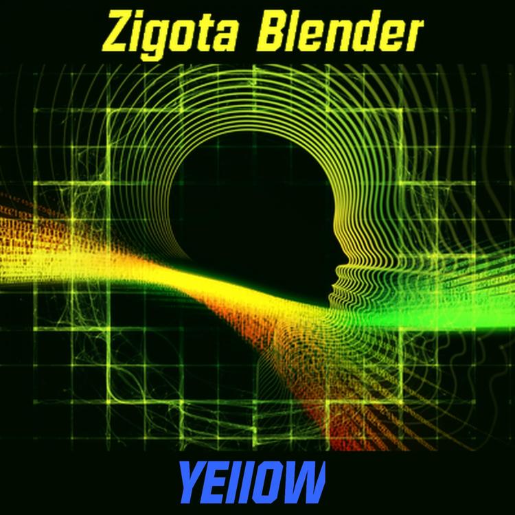 Zigota Blender's avatar image
