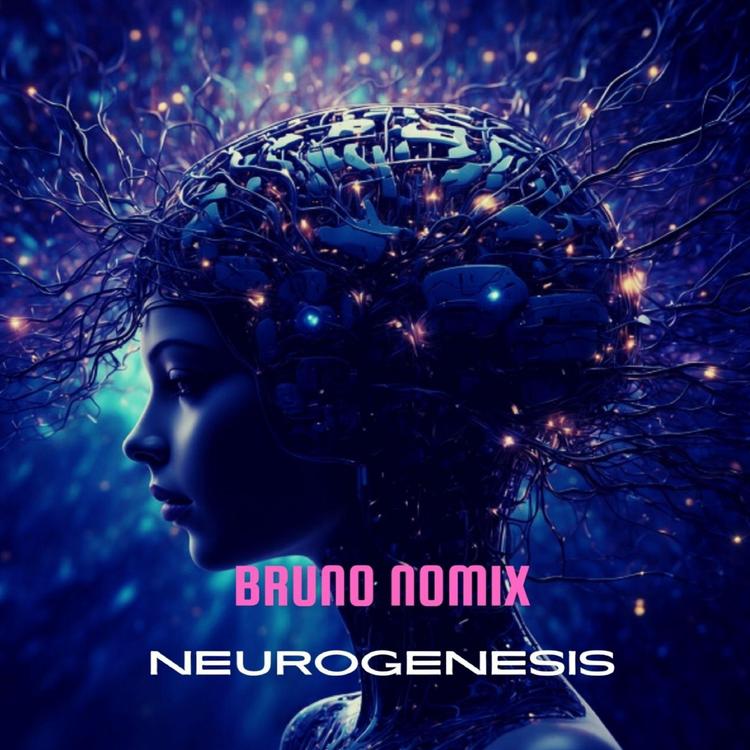 Bruno Nomix's avatar image