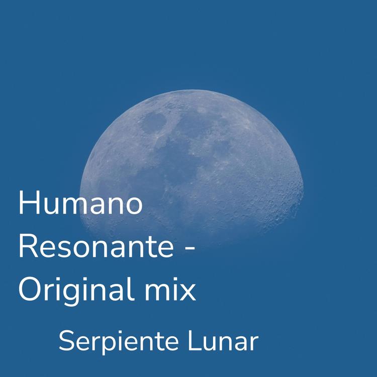 Serpiente Lunar's avatar image