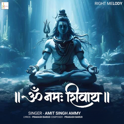 Amit singh Ammy's cover